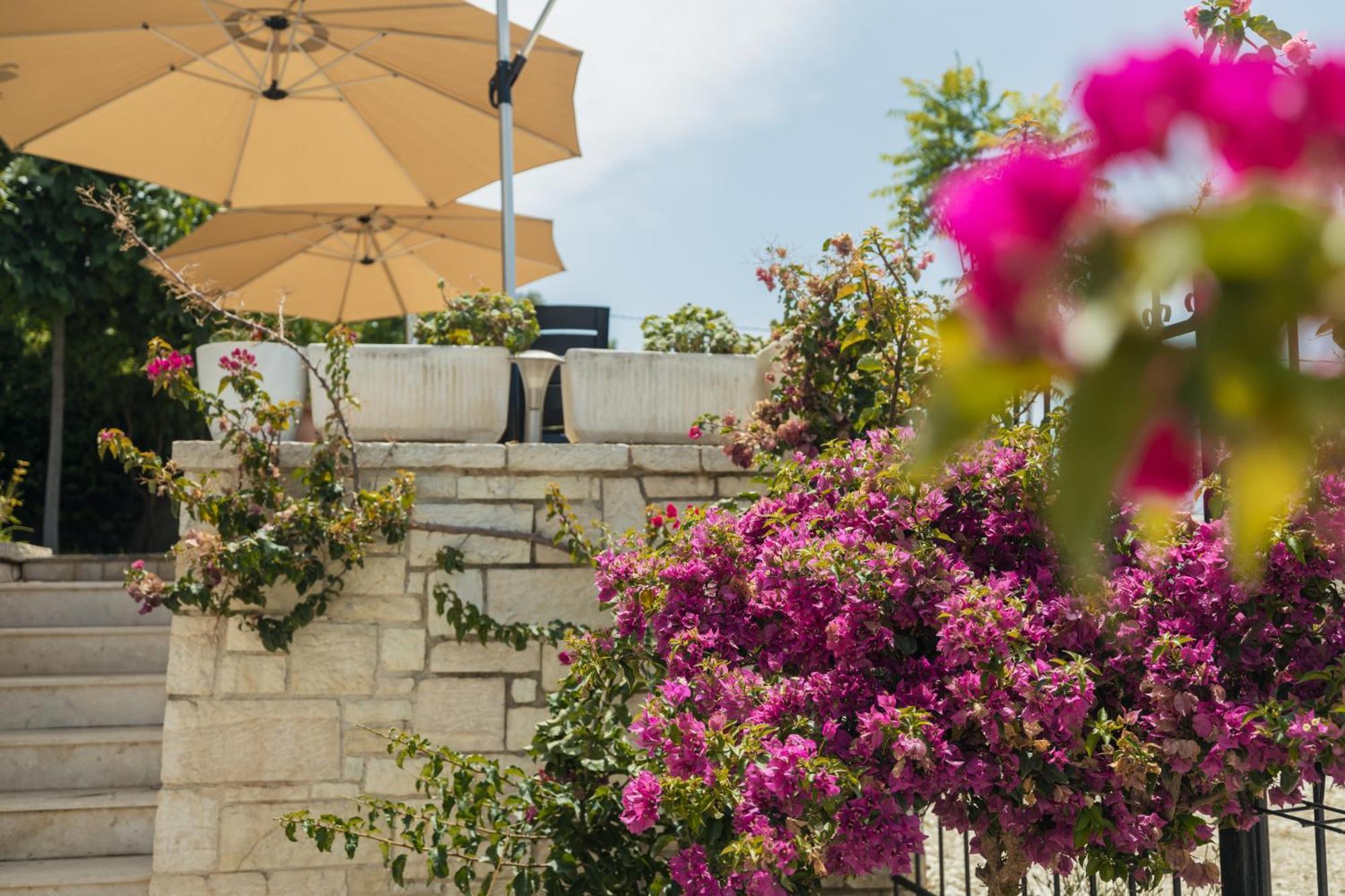 Voyage Villa Vlore Luaran gambar